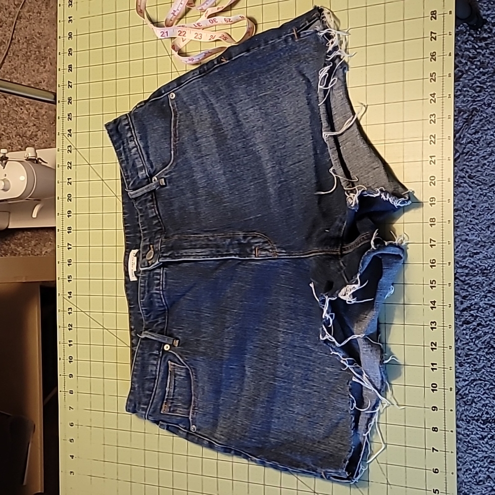 Good American Cut-off Denim Shorts